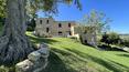 Toscana Immobiliare -