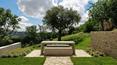Toscana Immobiliare -