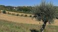 Toscana Immobiliare -