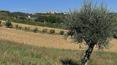 Toscana Immobiliare - 