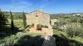 Toscana Immobiliare -