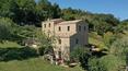 Toscana Immobiliare - 