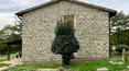 Toscana Immobiliare -