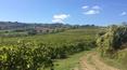 Toscana Immobiliare -