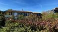 Toscana Immobiliare -