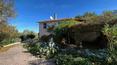 Toscana Immobiliare -