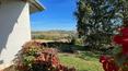Toscana Immobiliare -