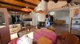 Toscana Immobiliare -