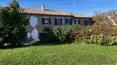 Toscana Immobiliare -