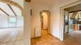 Toscana Immobiliare -