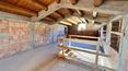 Toscana Immobiliare -