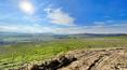 Toscana Immobiliare -