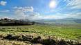 Toscana Immobiliare -