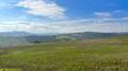 Toscana Immobiliare -