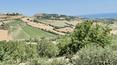 Toscana Immobiliare -