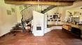 Toscana Immobiliare -