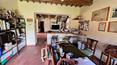 Toscana Immobiliare -