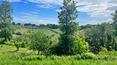 Toscana Immobiliare -