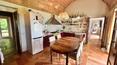 Toscana Immobiliare -