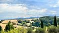 Toscana Immobiliare - 