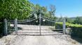 Toscana Immobiliare -