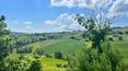 Toscana Immobiliare - 