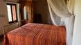 Toscana Immobiliare -