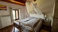 Toscana Immobiliare -