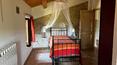 Toscana Immobiliare -