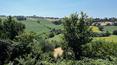 Toscana Immobiliare - 