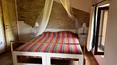 Toscana Immobiliare -