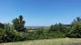 Toscana Immobiliare -