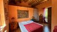 Toscana Immobiliare -