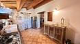 Toscana Immobiliare -