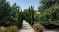Toscana Immobiliare -