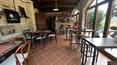 Toscana Immobiliare -