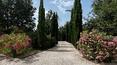 Toscana Immobiliare -