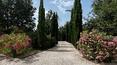 Toscana Immobiliare - 