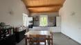 Toscana Immobiliare -