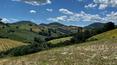 Toscana Immobiliare -