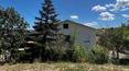 Toscana Immobiliare -