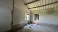Toscana Immobiliare -