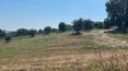Toscana Immobiliare -