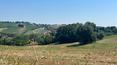 Toscana Immobiliare -