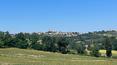 Toscana Immobiliare - 