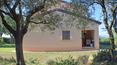 Toscana Immobiliare -