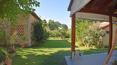 Toscana Immobiliare -