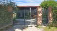 Toscana Immobiliare -