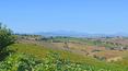 Toscana Immobiliare -