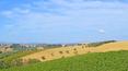 Toscana Immobiliare -